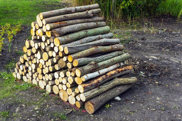 秋の森公園の切り立った薪が美しく積み上げられています — ストック写真