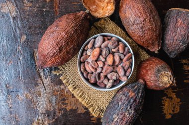 Dried cocoa fruit and cocoa beans in a bowl on the table