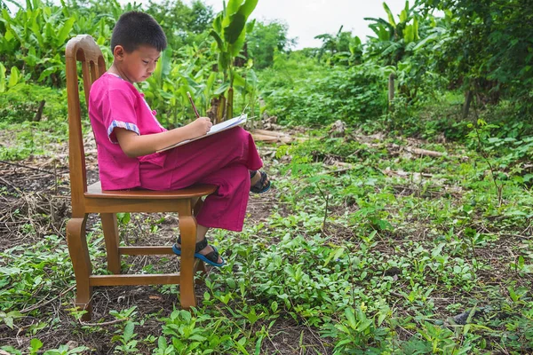 Çocuk doğayı çiziyor..