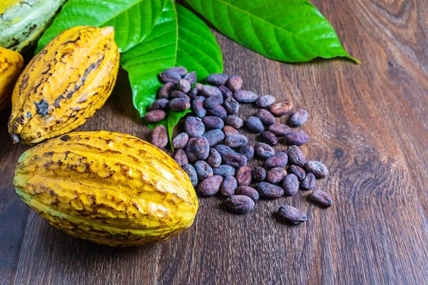 Cocoa fruit and cocoa beans on a wooden background