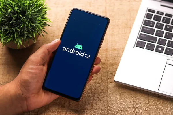 Assam Indien Mai 2021 Android Logo Auf Dem Handybildschirm — Stockfoto