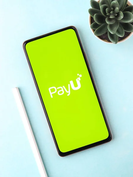 West Bangal India September 2021 Payu Logo Phone Screen Stock — 图库照片