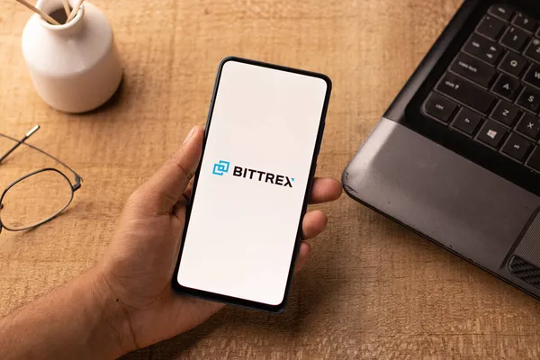 Ассам Индия Марта 2021 Года Логотип Bittrex Экране Телефона — стоковое фото