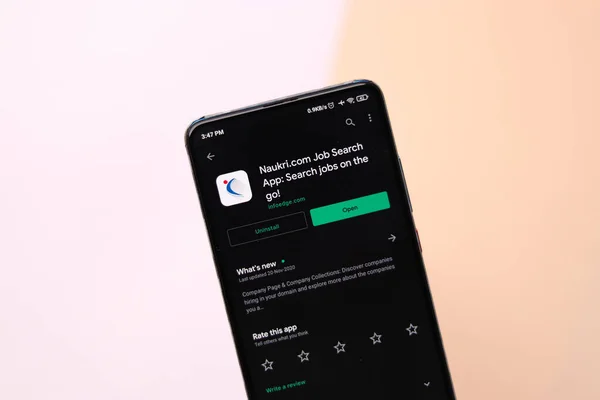 Assam Indie Listopadu 2020 Logo Naukri Obrázku Obrazovce Telefonu — Stock fotografie