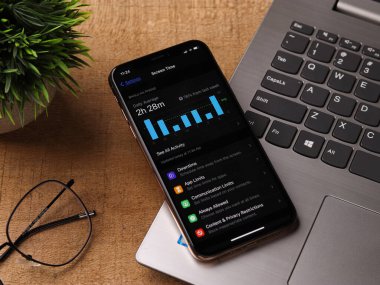 Assam, Hindistan - 30 Mart 2021: Telefon ekranı görüntüsü üzerindeki Ekran Zamanı grafiği.