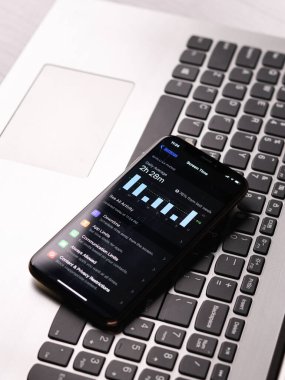 Assam, Hindistan - 30 Mart 2021: Telefon ekranı görüntüsü üzerindeki Ekran Zamanı grafiği.