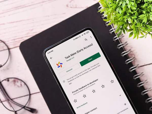 Assam, Hindistan - 29 Kasım 2020: Google Görev Arkadaşı logosu telefon ekranı görüntüsü.