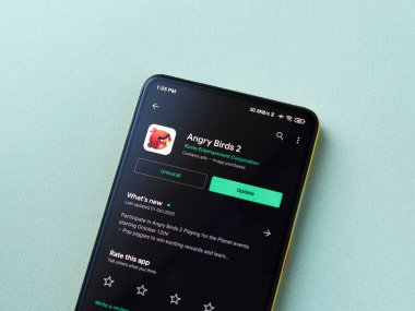 Assam, Hindistan - 11 Ekim 2020: Kızgın Kuşlar telefon ekranında oyun logosu.