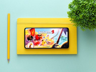 Assam, Hindistan - 11 Ekim 2020: Kızgın Kuşlar telefon ekranında oyun logosu.