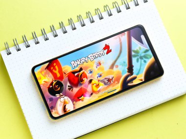 Assam, Hindistan - 11 Ekim 2020: Kızgın Kuşlar telefon ekranında oyun logosu.