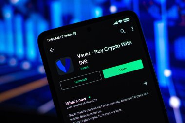 West Bangal, India - December 15, 2021 : Vauld logo on phone screen stock image.