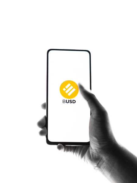 West Bangal Índia Fevereiro 2022 Binance Usd Logo Imagem Estoque — Fotografia de Stock