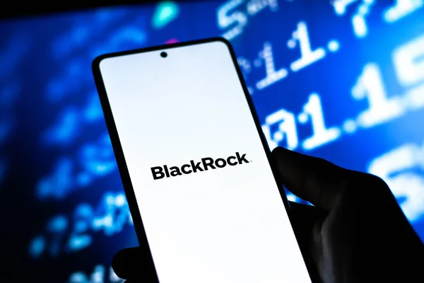 West Bangal Indien April 2022 Blackstone Groups Logotyp Telefonens Bildskärm — Stockfoto
