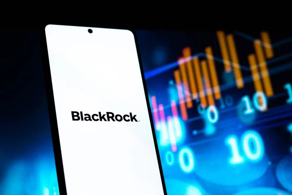 West Bangal India April 2022 Blackstone Group Logo Phone Screen — Stock Photo, Image