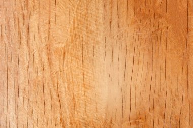 Ahşap dokular. Özgeçmiş için iyi bir kullanım. Doğal ahşap.
