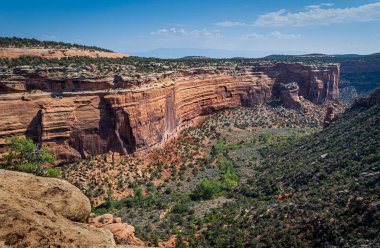 Colorado Ulusal Anıtı 'nın kızıl kaya oluşumlarına ve kanyonuna bakıyoruz.