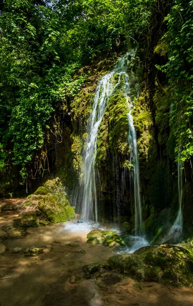 A cascade of water darts. from the trees to form a pool of water at the base in Krka National Park Croatia