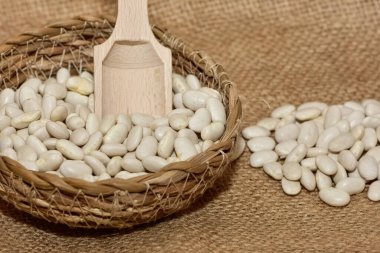 tarımsal ürünler. Beyaz fasulye fotoğrafları..