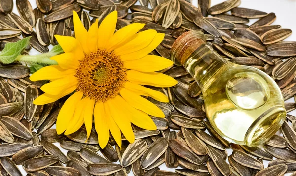 sunflower, sunflower seeds and sunflower oil.