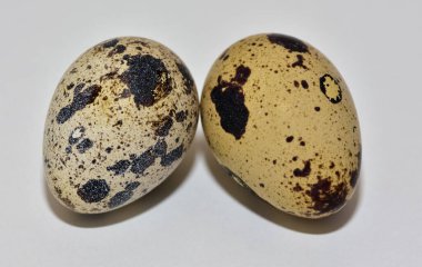 Hayvan ürünleri, bıldırcın yumurtası fotoğrafları..