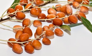 Beyaz arkaplanda kırmızı meyvelerin fotoğrafları.