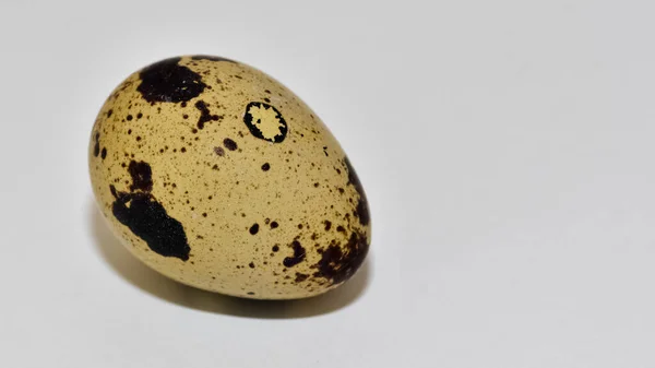 Beyaz Arka Planda Bıldırcın Yumurtalarının Fotoğrafları — Stok fotoğraf