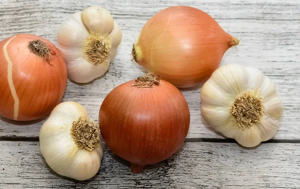 Fotos Verduras Sobre Fondo Blanco — Foto de Stock