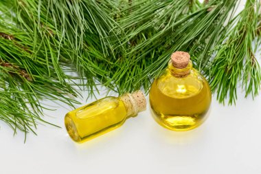 Çam kozalakları ve çam yağı fotoğrafları..