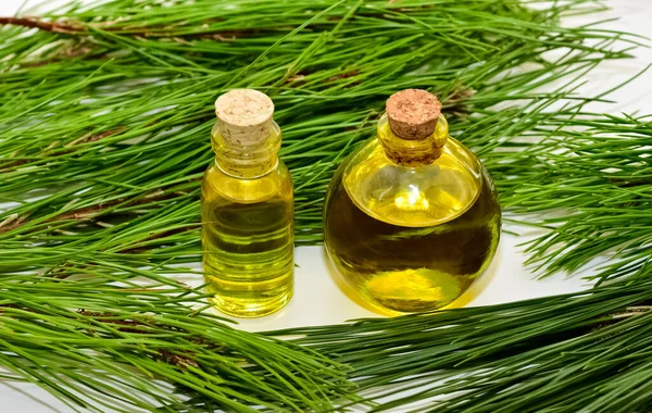 Çam kozalakları ve çam yağı fotoğrafları..