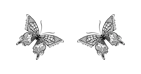 Motyl Rysunek Obrazy Białym Tle Ilustracje — Zdjęcie stockowe