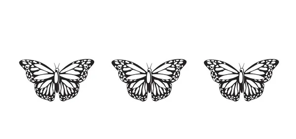 蝴蝶在白色背景上画画 — 图库照片