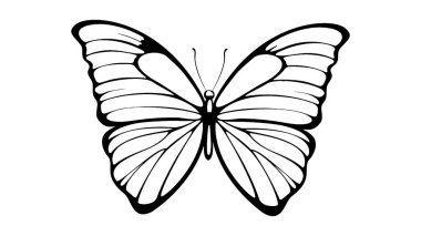 Beyaz arka planda kelebek çizimleri. resimlerComment.