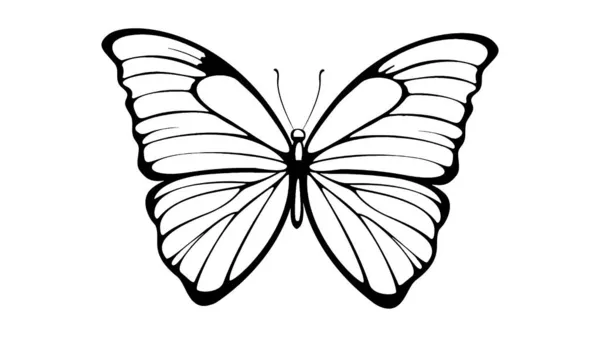 Dessins Papillons Sur Fond Blanc Illustrations — Photo