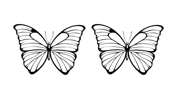 Pillangók Rajzai Fehér Alapon Illusztrációk — Stock Fotó