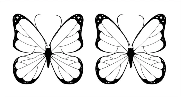 Dibujos Mariposas Sobre Fondo Blanco Ilustraciones —  Fotos de Stock