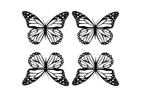 白い背景に蝶の絵が描かれています イラスト — ストック写真