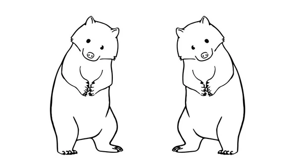 Desenhos Animais Sobre Fundo Branco Ilustrações — Fotografia de Stock