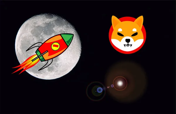 ロケットと柴犬仮想通貨画像 イラスト — ストック写真
