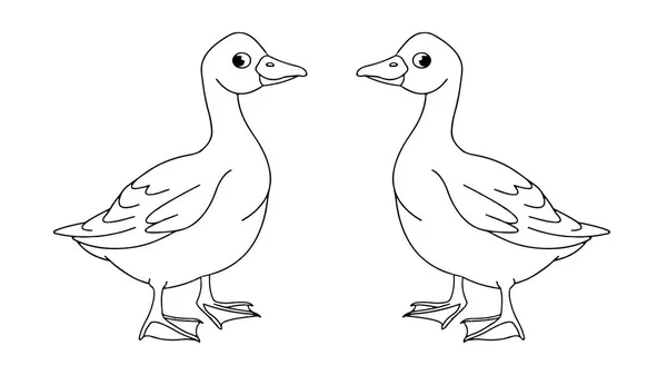 Imagens Desenhos Pássaros Ilustrações — Fotografia de Stock