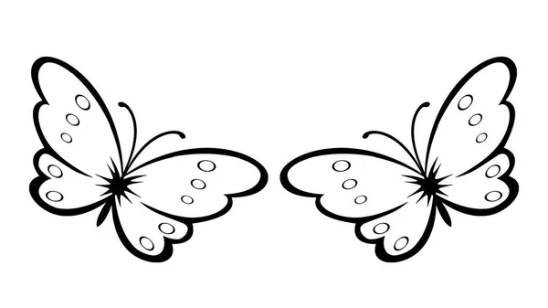 Zeichnungen Von Schmetterlingen Auf Weißem Hintergrund Illustrationen — Stockfoto