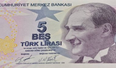 20 Aralık 2021 İzmir, hindi. Türk Lirası 'nın fotoğrafları. Fotoğraf haber amaçlıdır.