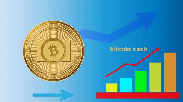 Bitcoin Efectivo Vistas Moneda Virtual Dibujos — Foto de Stock