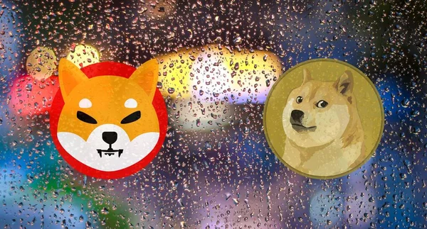 Shiba Inu Dogecoin Immagini Valuta Virtuale Uno Sfondo Astratto Illustrazioni — Foto Stock