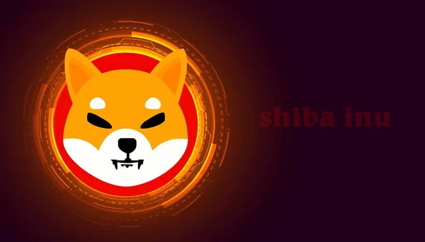 Shiba Virtuell Valuta Visuella Färgstark Bakgrund Illustrationer — Stockfoto