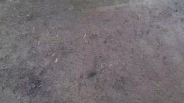 beton üzerine düşen yağmur videosu