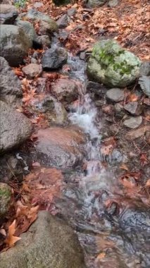 Açık alanlardaki şelalelerin videoları.