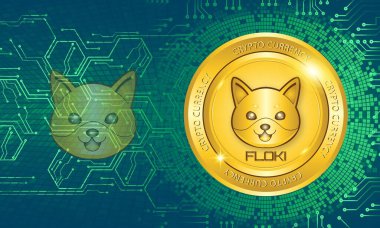 Floki sanal para birimi görüntüleri. 3d illüstrasyon.