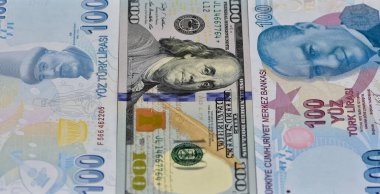 çeşitli ülke banknotları. Dolar ve Türk Lirası fotoğraflarımız.