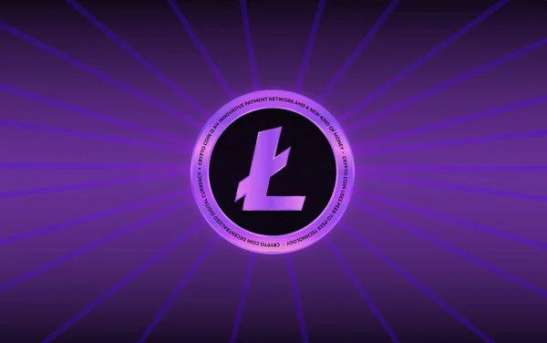 Litecoin Ltc Virtual Currency 관점이다 — 스톡 사진