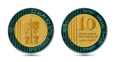 Israeli 10 New Shequalim Bimetallic coin 1995 year. The coin shows a palm tree with seven leaves and two baskets with dates; the emblem of the State of Israel; the words 